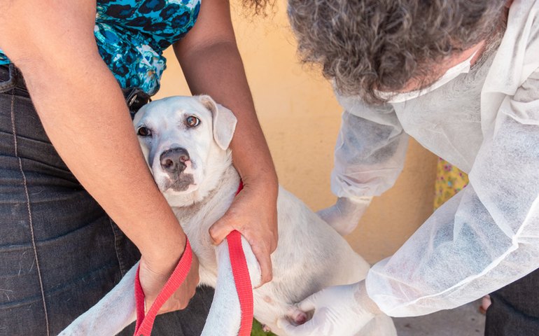 Nasf realiza palestra sobre saúde animal e presta atendimento veterinário domiciliar no Pontal da Barra