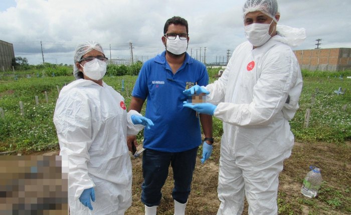 Equipe realizou a exumação da ossada sepultada como não identificada no Cemitério Santo Antônio