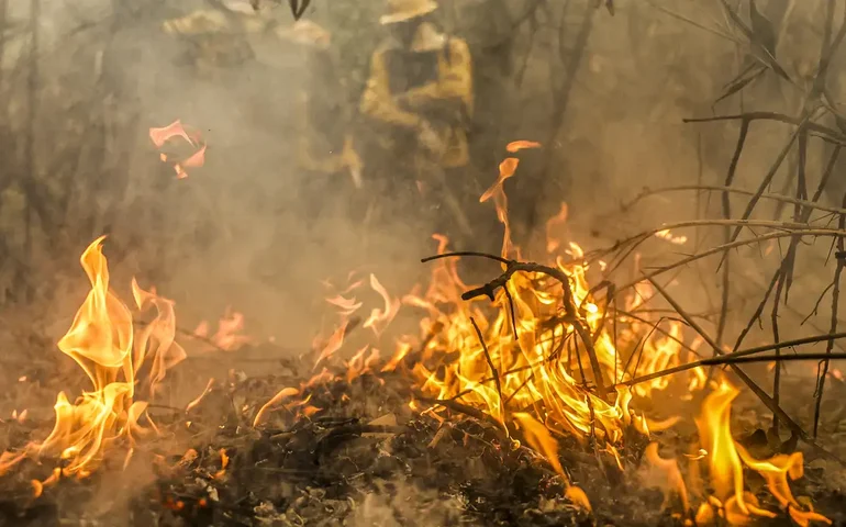 Prejuízo causado pelas queimadas em SP deve passar de R$ 1 bilhão