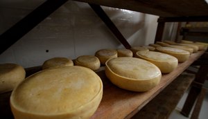 Queijo Foto Arthuro Paganini