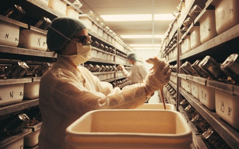 Comitê de Ética abre prazo para representantes de Sociedade de Animais