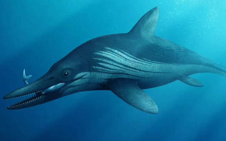 Fóssil raro de ictiossauro com mais de 100 dentes é encontrado na Alemanha