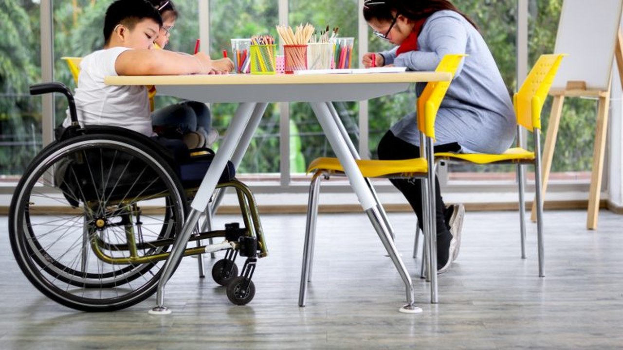 Comissão de Educação debate inclusão escolar das pessoas com deficiência