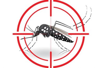 Palmeira tem mais um serviço de referência para os casos de dengue e síndromes gripais leves 