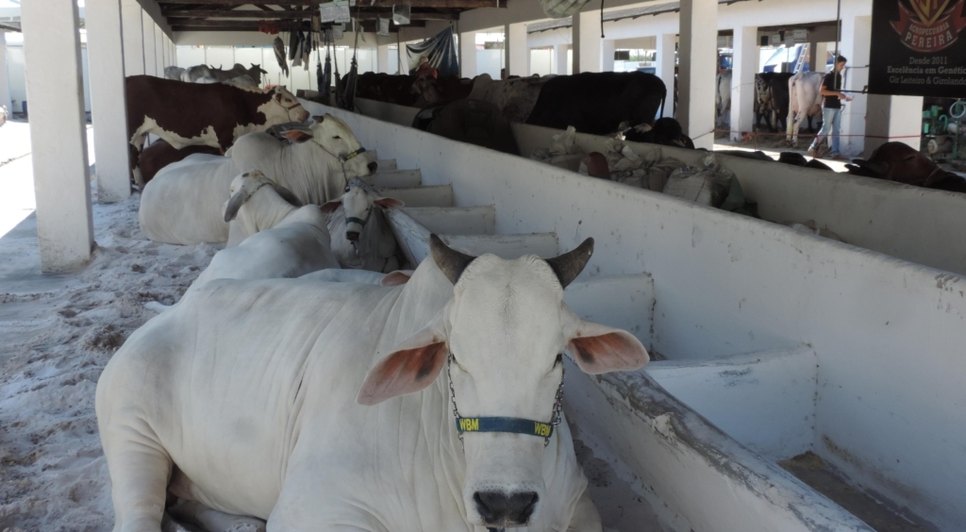 Feira Agropecuária de Sergipe será realizada no Parque de Exposições em Aracaju