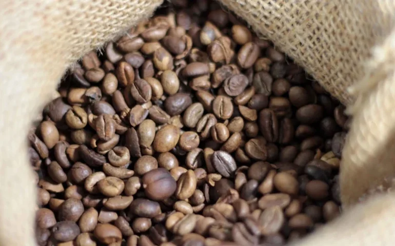 Café em grão e matérias primas brutas impulsionam retração de inflação no atacado no IGP-10