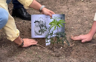 Semarh planta árvore em homenagem a Anita Studer
