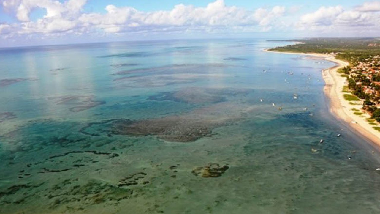 Ministras do Brasil e da Alemanha iniciam projeto na APA Costa dos Corais