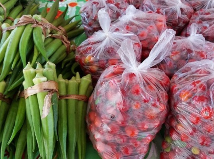 Primeira feira orgânica de 2018 contou com Aldeia Verde na Semarh