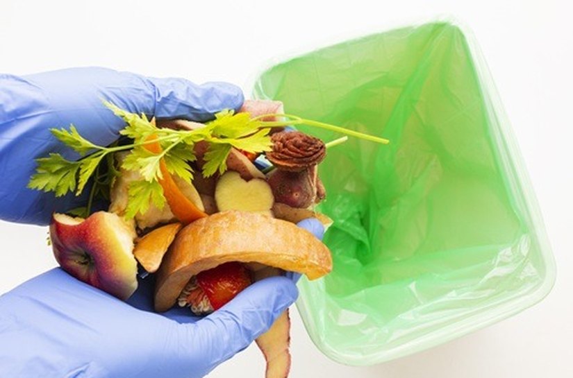 Fome e desperdício de alimentos acendem alerta para a saúde e a sustentabilidade