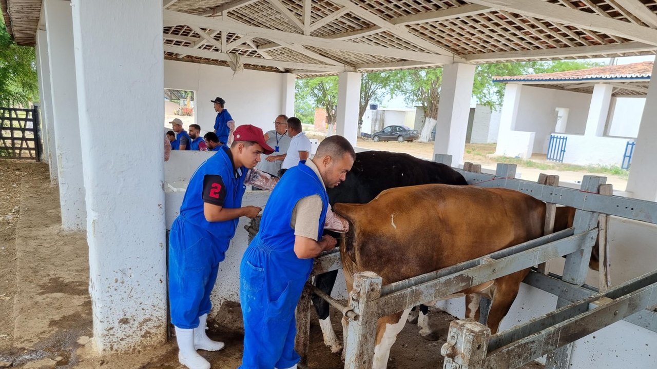 Produtores rurais recebem capacitação de inseminação artificial em bovinos
