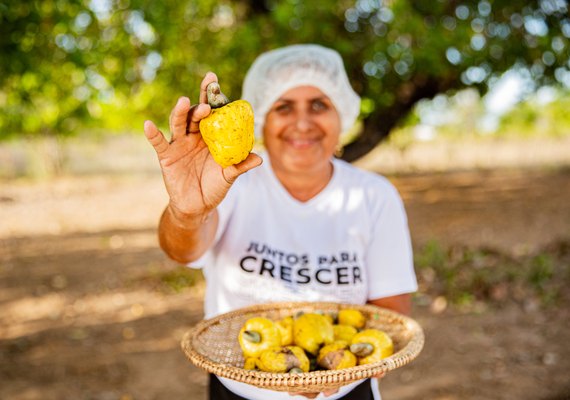 Associação de Estrela de Alagoas recebe sistema de energia solar do Programa Alagoas Maior