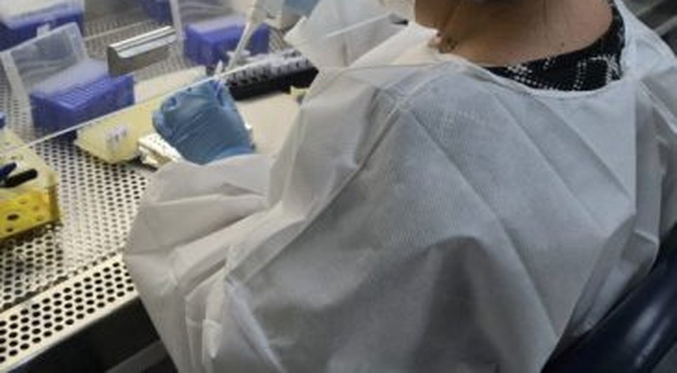 coronavirus