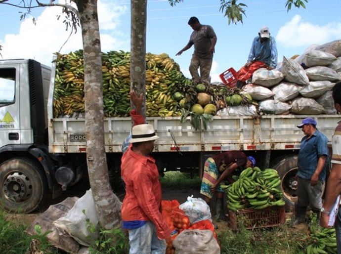 Estado promove seminário sobre fruticultura voltado a produtores de AL