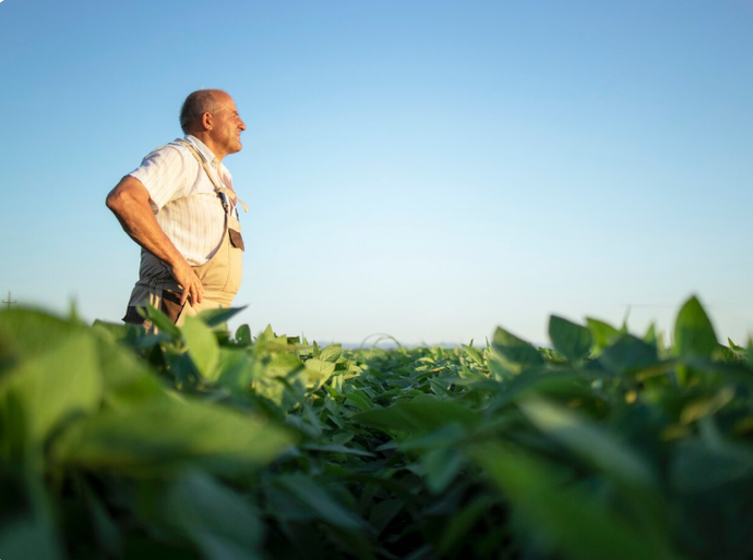 Estratégico para alimentar o mundo, fertilizante também ajuda a preservar o meio ambiente