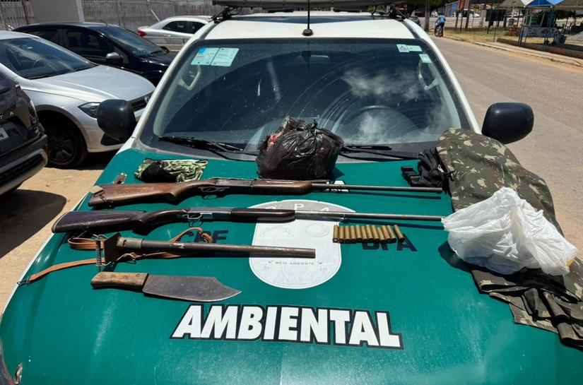 PM apreende armas de fogo e resgata animais silvestres no interior de AL