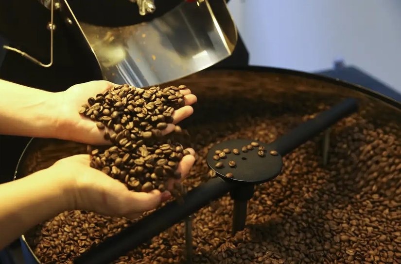 Setor cafeeiro pode ser forçado a redirecionar produção, diz Cepea/USP