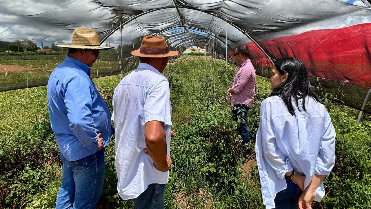 Secretaria de Agricultura vai implantar vitrine tecnológica no Sertão