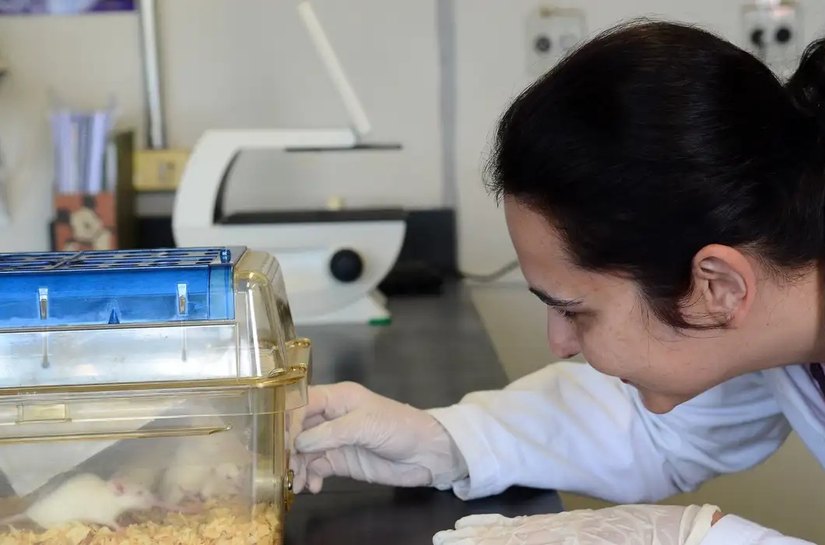 Tecidos feitos em laboratório podem aperfeiçoar testes de medicamentos