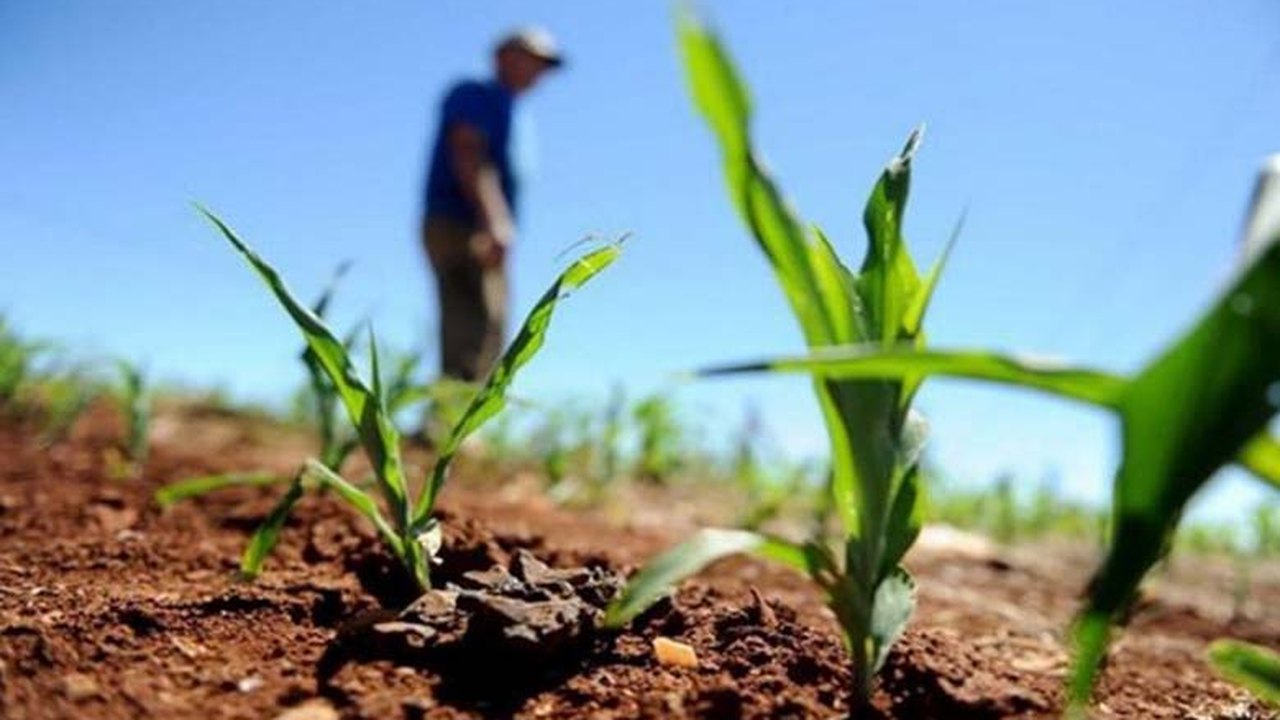 Governo do Estado alerta para produtores aderirem ao Cadastro Ambiental Rural