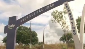 Cedro / Foto: Reprodução: Alese