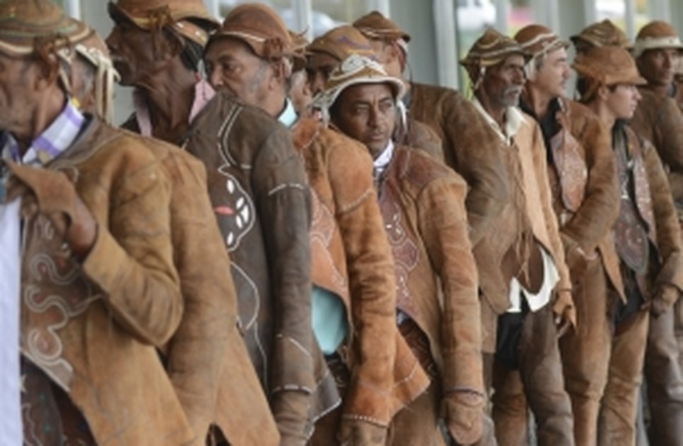 vaqueiros.JPG