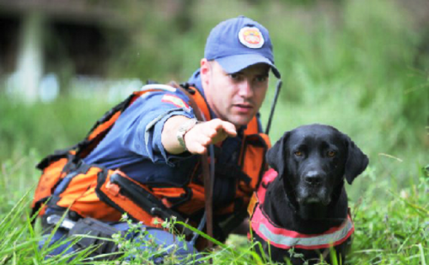 Bombeiros treinam cães da raça labrador para resgate em Alagoas