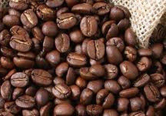 Bahia na vanguarda da produção de cafés especiais no Brasil