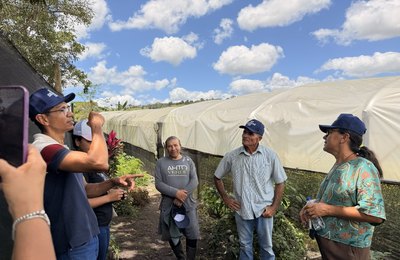 Dia de campo aproxima produtores de flores para cultivo de crisântemos