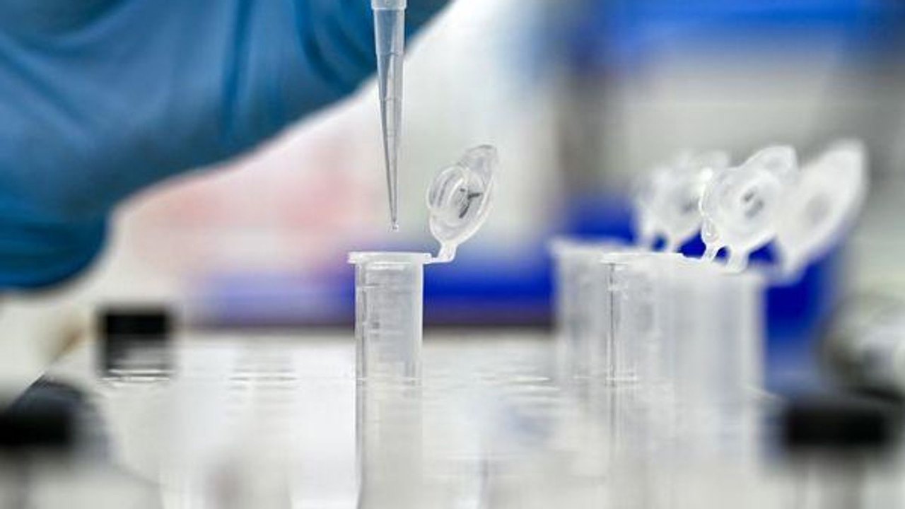 Cientistas descobrem fungo capaz de proteger o corpo da radiação