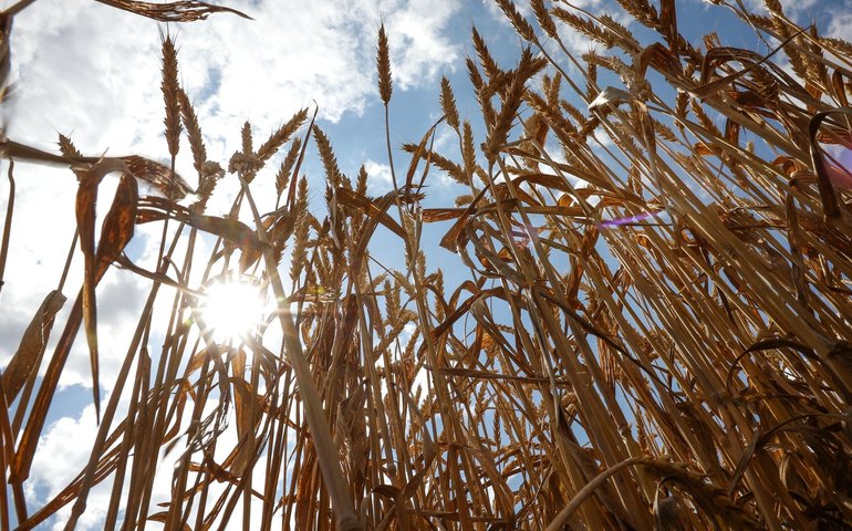 Sem orçamento de 2025 aprovado, Haddad faz críticas ao Congresso e garante recursos para Plano Safra