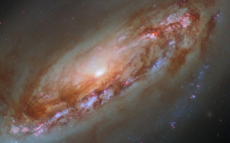 Estudo revela que o Sol pode ter migrado do centro da Via Láctea com milhares de estrelas gêmeas