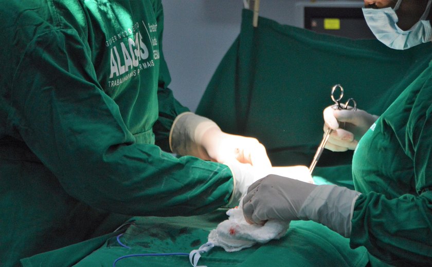 Nova lei federal incentiva doação de órgãos e tecidos