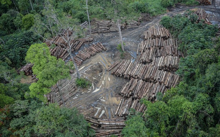 Pauta da CMA tem projeto que agrava penas de crimes ambientais