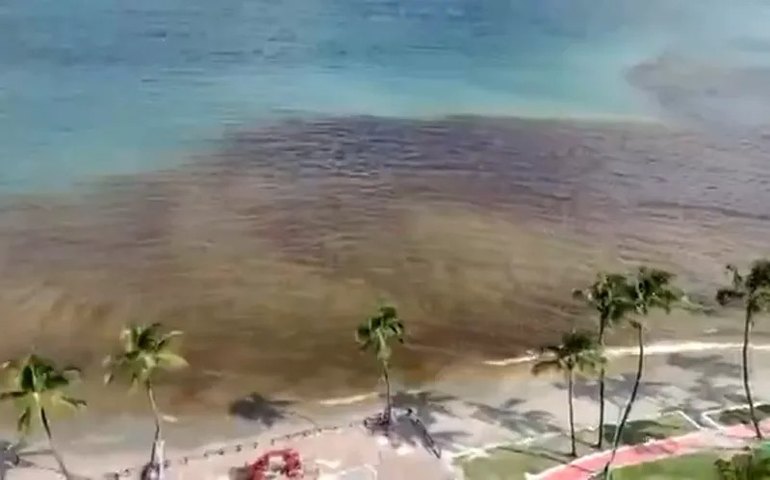 Floração de algas causaram a mancha escura na Praia de Ponta Verde, diz IMA