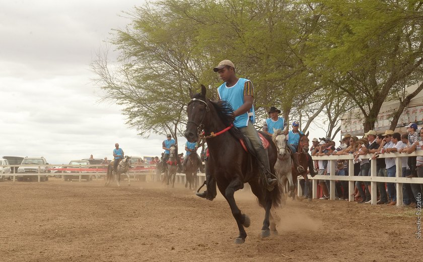 Arapiraca sedia grande evento de mangalarga marchador