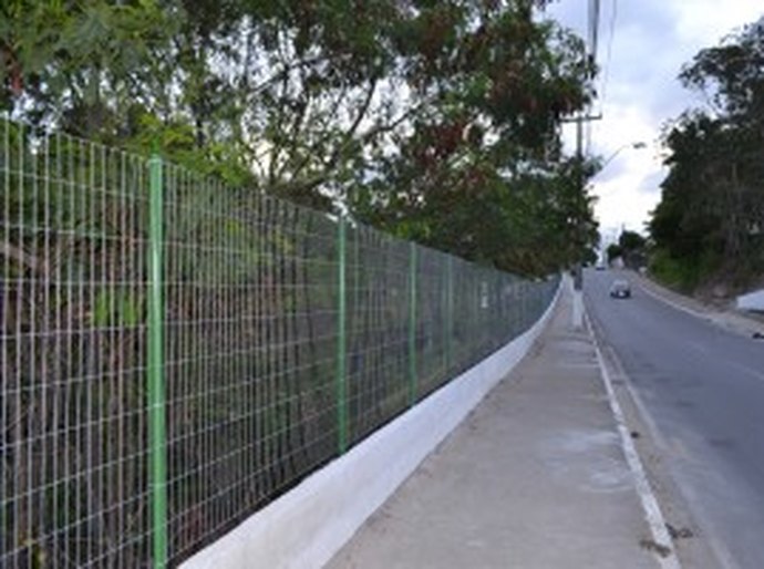 rea Verde recebe proteção com tela contra crimes ambientais