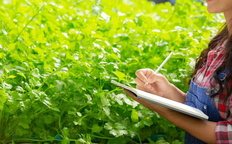 Empresas do agro com análise informal de crédito têm inadimplência até 2,5 vezes maior; veja cinco erros comuns