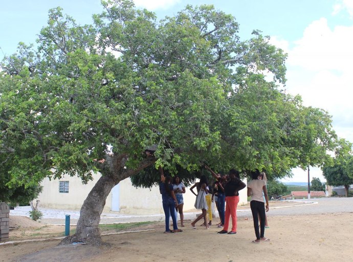 Decreto presidencial destina área para território quilombola em Alagoas