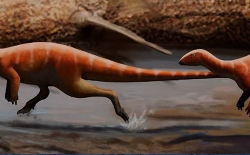 nova espécie de dinossauro baiano é identificada