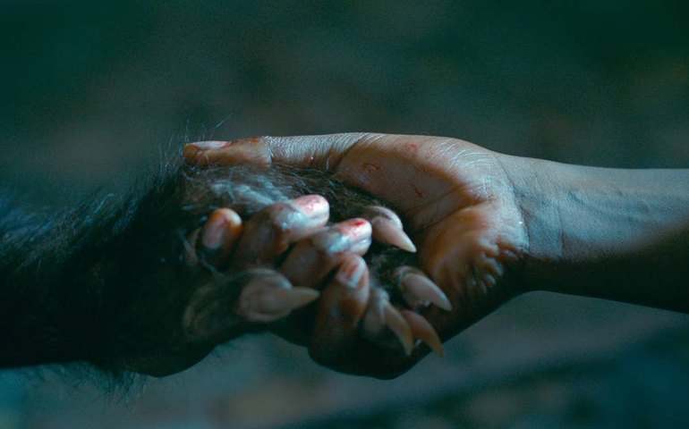 ‘As Boas Maneiras’ atualiza o mito do lobisomem