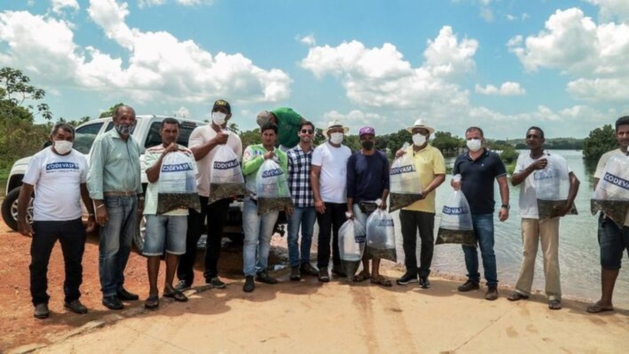 Parceria entre Prefeitura de Penedo e Codevasf distribui alevinos para piscicultores