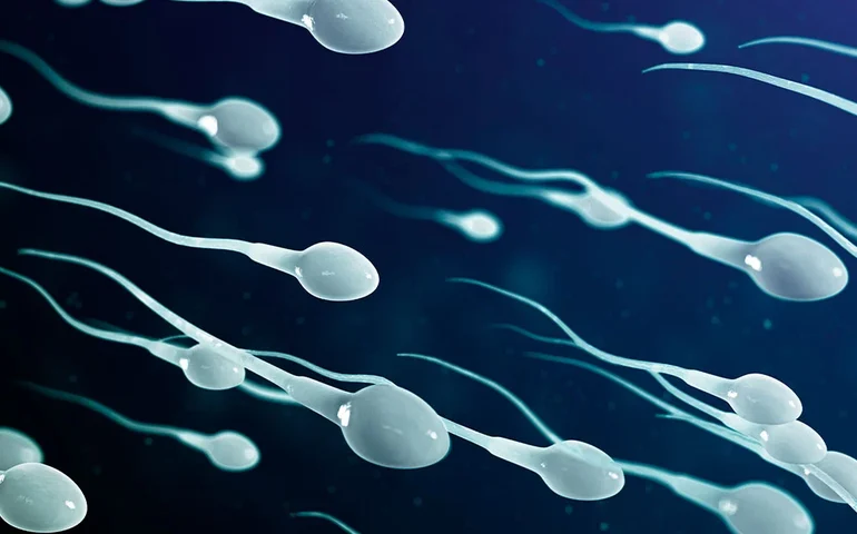 IA encontra oito espermatozoides antes 'invisíveis', e casal engravida mesmo após diagnóstico de infertilidade severa; entenda