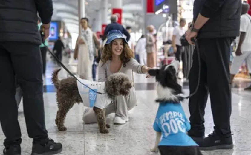 Istambul adota cães treinados para reduzir estresse de passageiros em aeroporto internacional