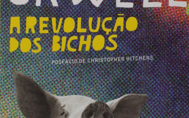 Veja cursos na área de literatura e clubes de leitura para participar em junho