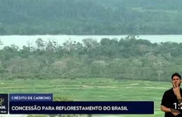 Crédito de carbono: empresa vence concessão para reflorestar áreas degradas