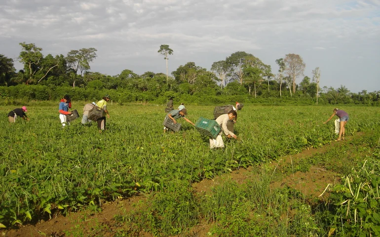 Prioridade a agricultoras familiares na titulação de terras é aprovada pela CDH