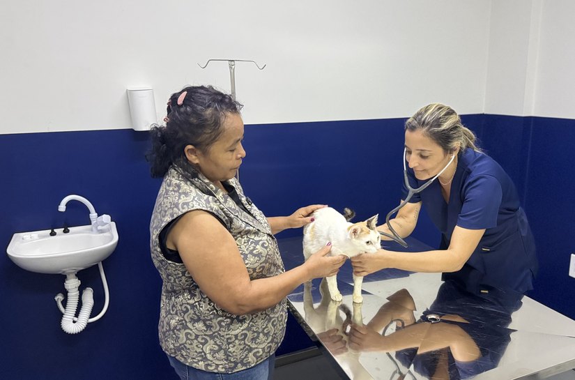 HC Pet muda histórias e leva mais saúde e dignidade aos pets de Maceió