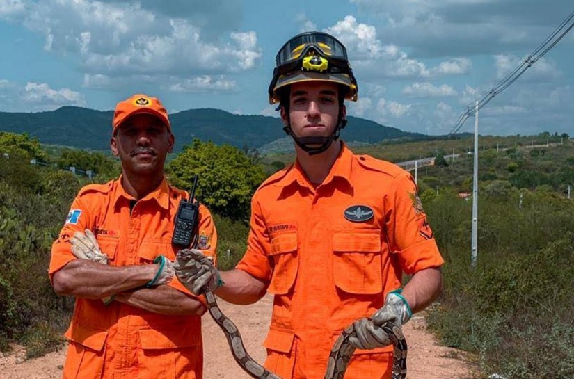 Corpo de Bombeiros registra queda de 23% em ocorrências de captura de animais em Alagoas
