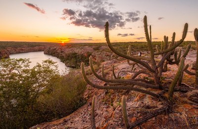 Dia das Mães: confira roteiros especiais para aproveitar a data em Alagoas 